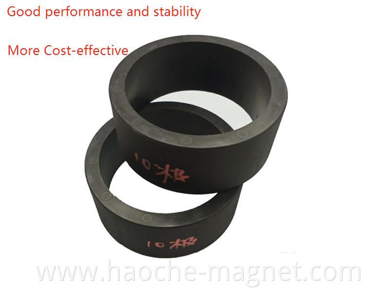 Injection Molded Multipole Ring Magnet Diametrically Polarized 8 Pole 10 Pole Magnet Big Size